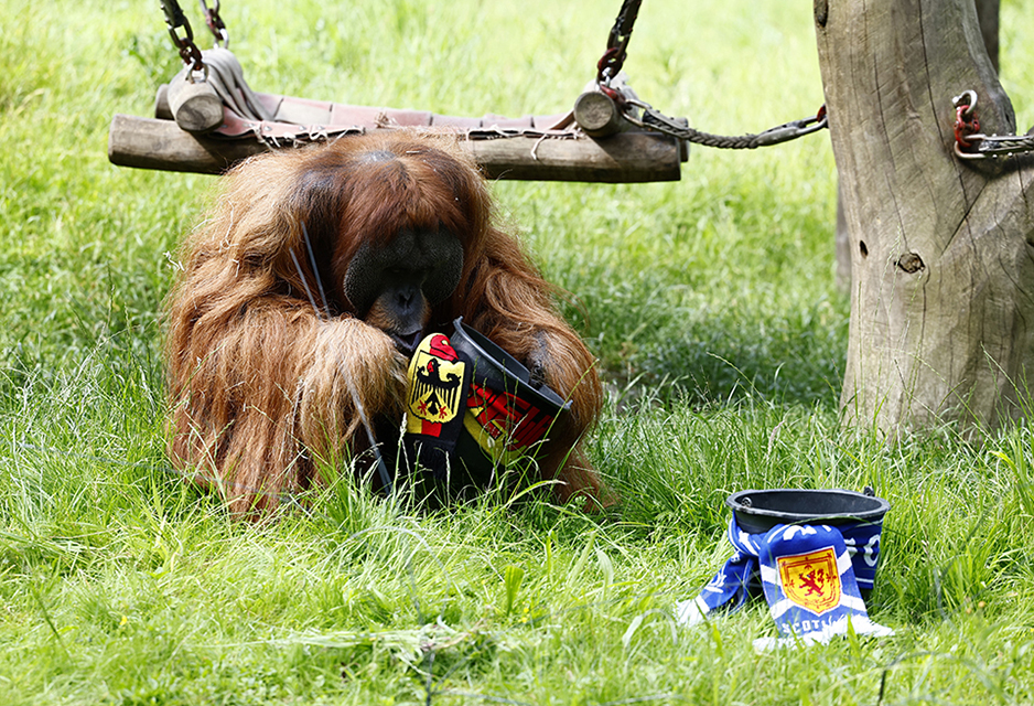 Μιάου σου λέω-2