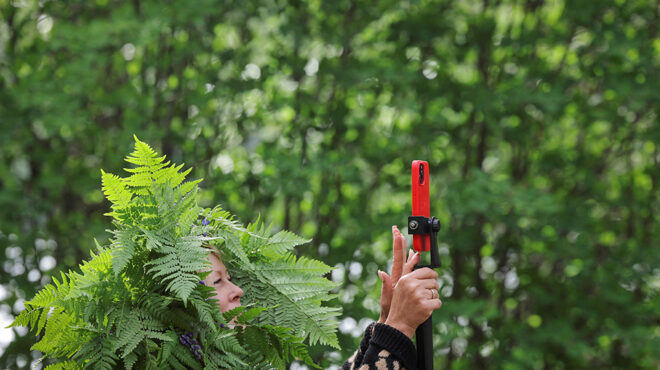 θερινό-ηλιοστάσιο-563091226
