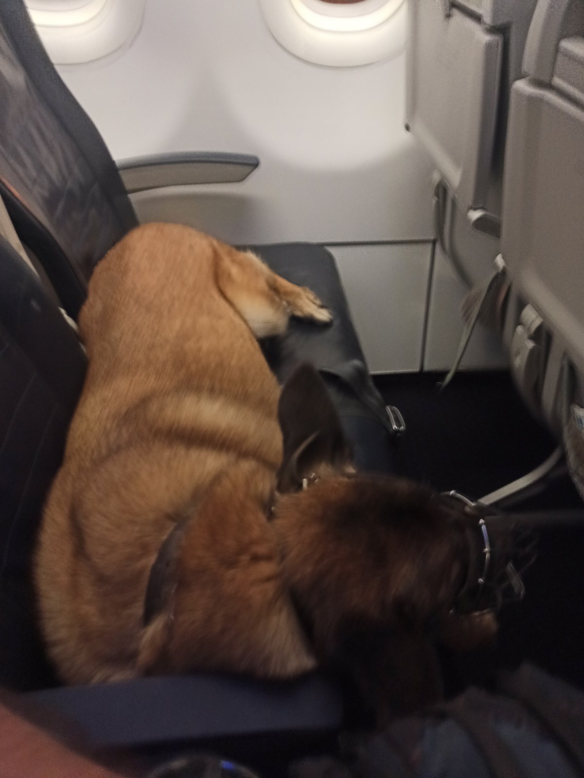 Μάικλ Μόσλεϊ – Σύμη: Κορυφώνεται η αγωνία για τον παρουσιαστή του BBC-3