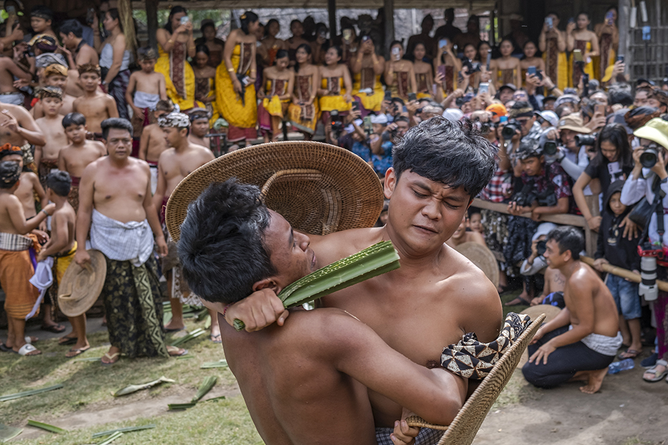 Τρελό μέλι-3