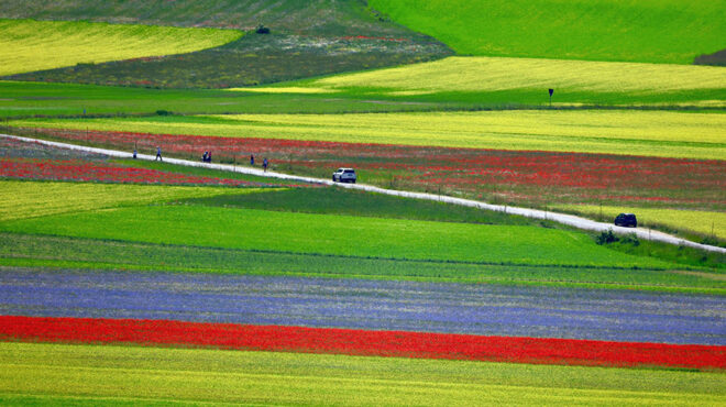 απόλαυση-χωρίς-στάση-563083582