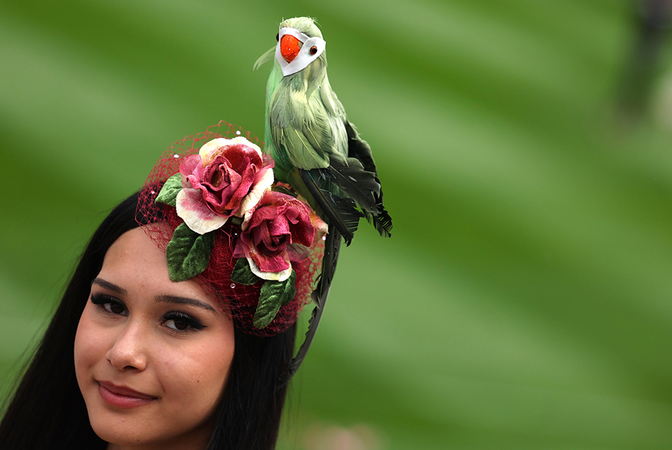 Ο «αμερόληπτος» μάντης-3