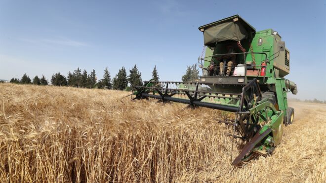 αύξηση-των-παγκόσμιων-τιμών-τροφίμων-563067439