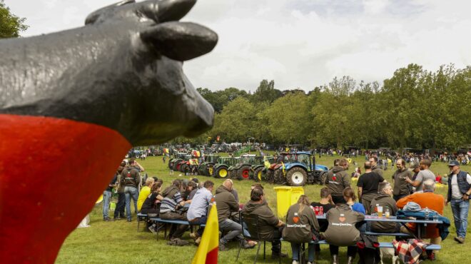 η-πίτα-και-η-ούρσουλα-563067751