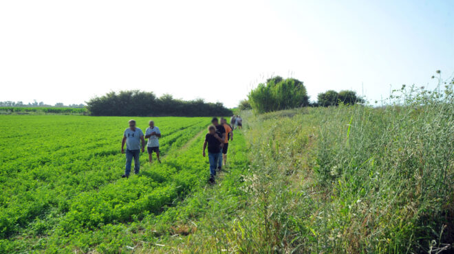 ηλεία-ομολόγησε-τη-δολοφονία-ο-θείος-τ-563072533