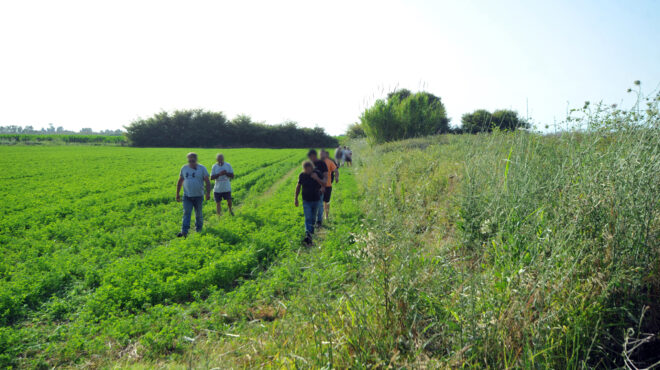 ηλεία-νέο-βίντεο-με-την-11χρονη-λίγο-πρι-563072806