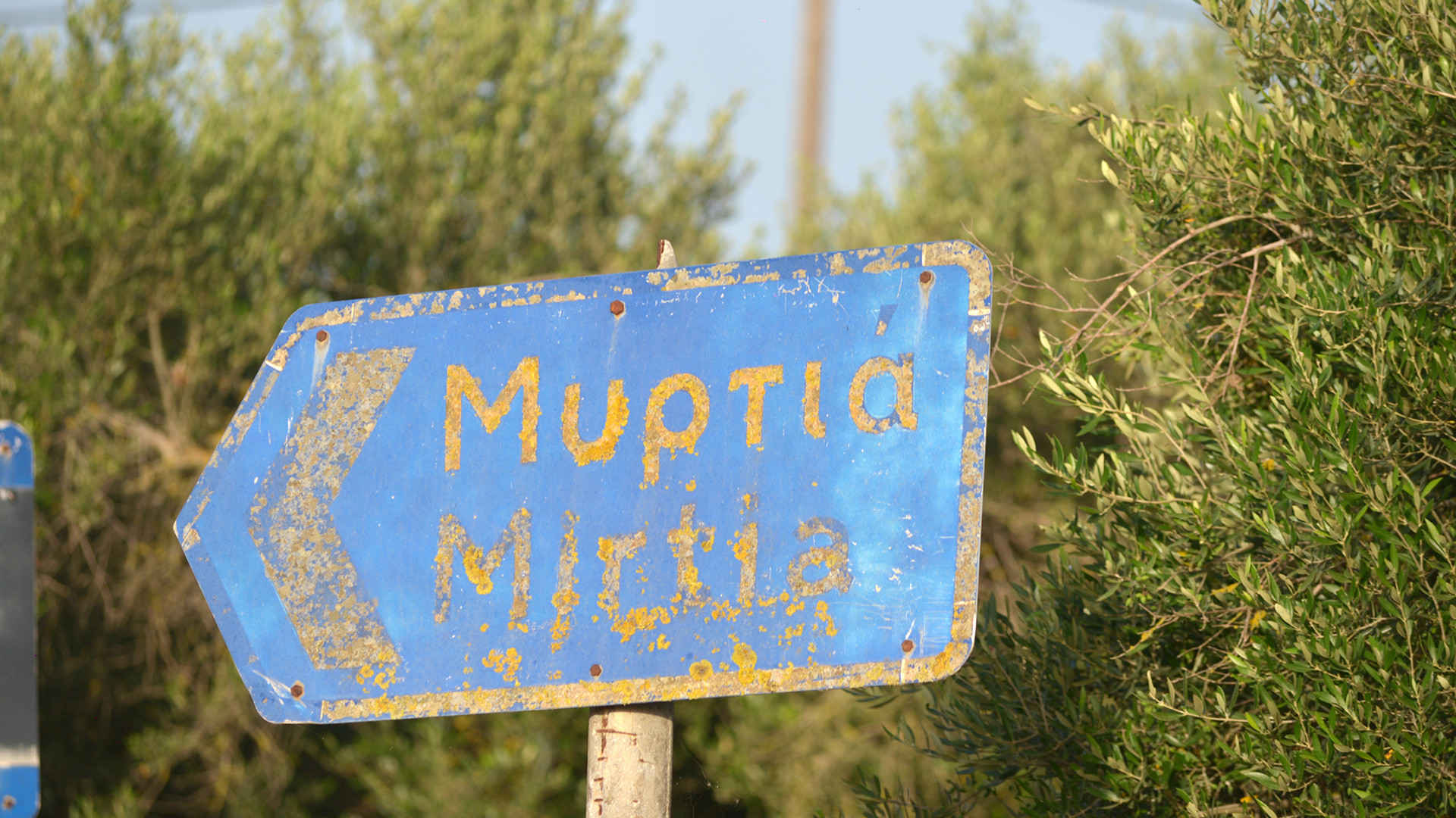 Δολοφονία 11χρονης στην Ηλεία: Στον εισαγγελέα ο 37χρονος – Το χρονικό και το βίντεο ντοκουμέντο-1