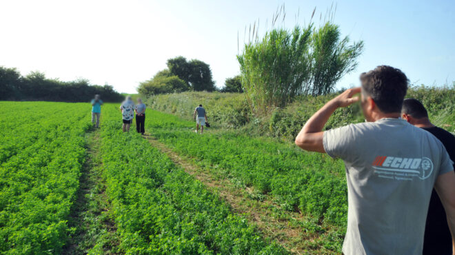 δολοφονία-11χρονης-στην-ηλεία-στον-εισα-563072599