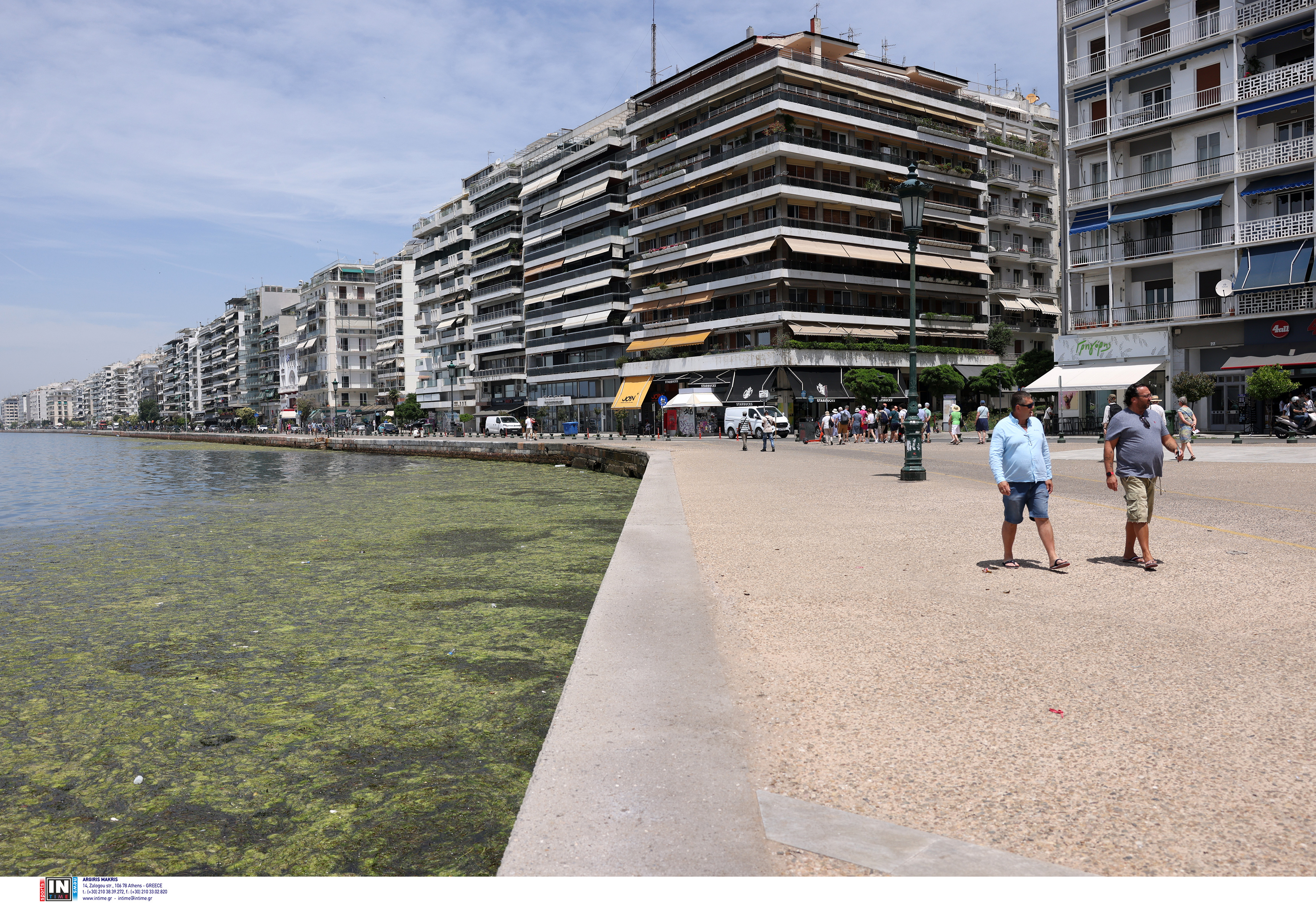 Θεσσαλονίκη: Επέστρεψε το φυτοπλαγκτόν, «πρασίνισε» ο Θερμαϊκός-2