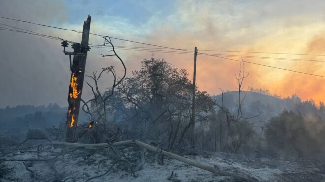 μεγάλες-ζημιές-από-τις-φωτιές-σε-ηλεία-563092978