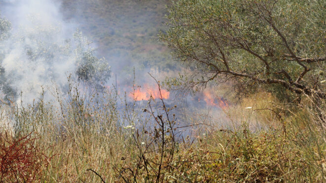 μεσσηνία-φωτιά-σε-αγροτοδασική-έκτασ-563100172