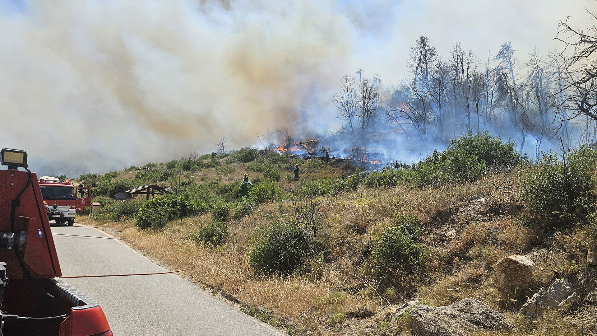 Χωρίς ενεργό μέτωπο η φωτιά στην Πάρνηθα-6