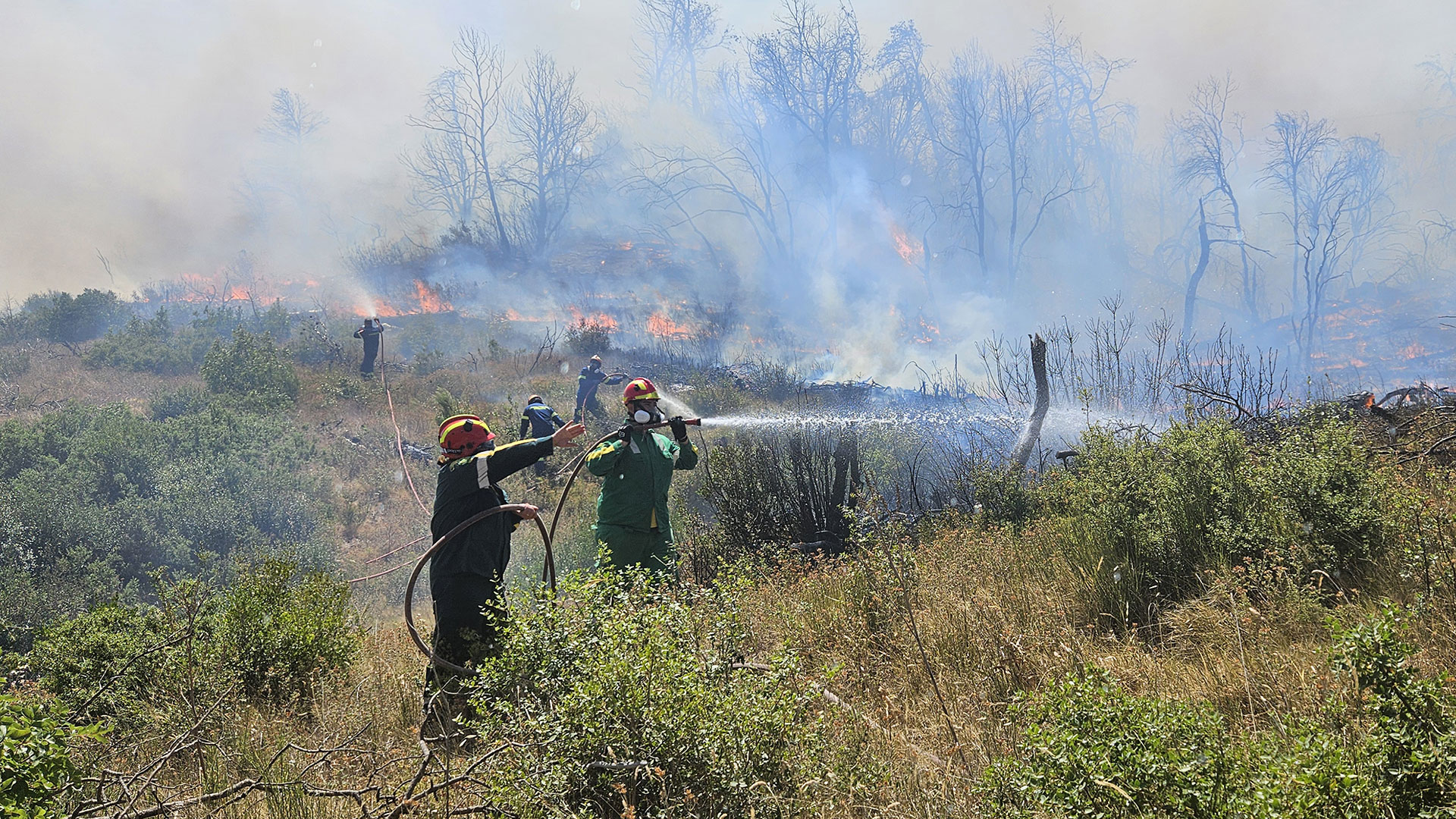 Χωρίς ενεργό μέτωπο η φωτιά στην Πάρνηθα-8
