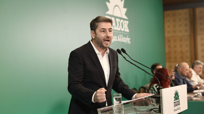 ανδρουλάκης-στην-κ-ε-του-πασοκ-εκλογή-563103196