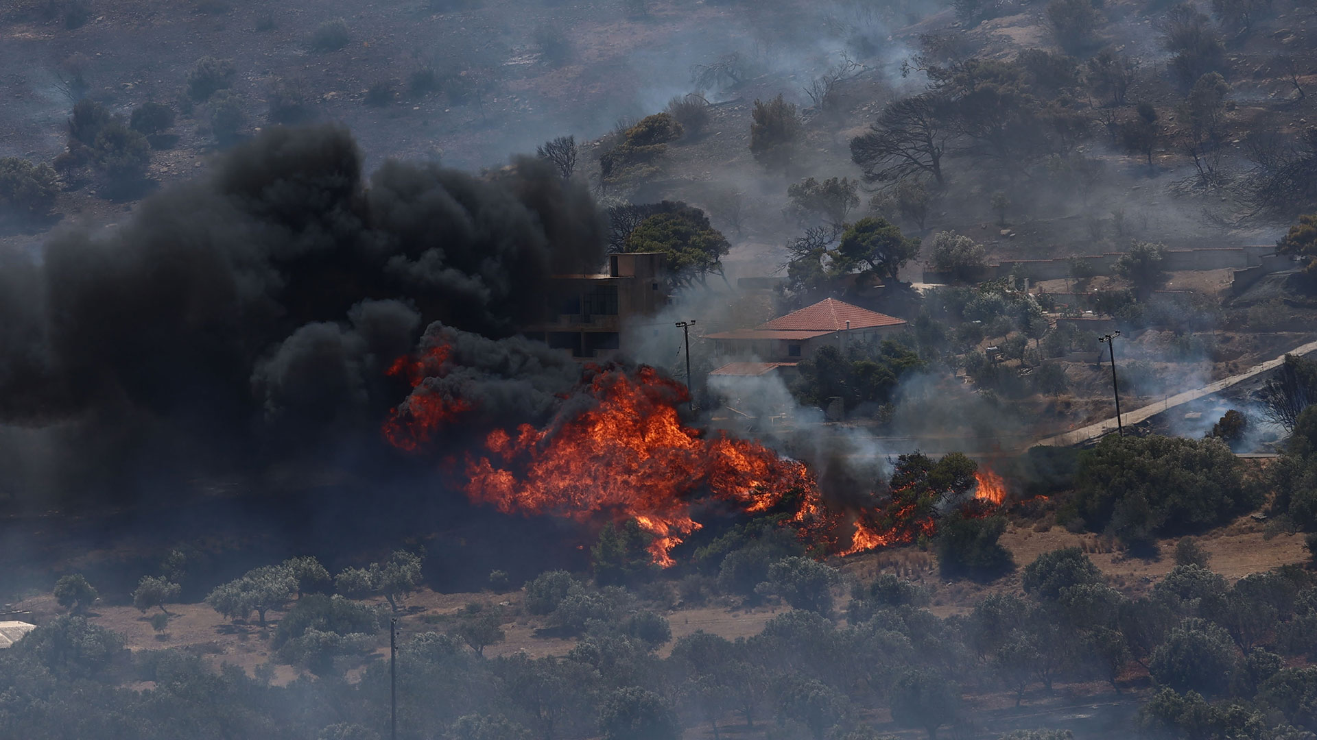 Φωτιά στην Κερατέα: Ισχυρές επίγειες και εναέριες δυνάμεις – Εκκενώσεις περιοχών, σπίτια στις φλόγες-1