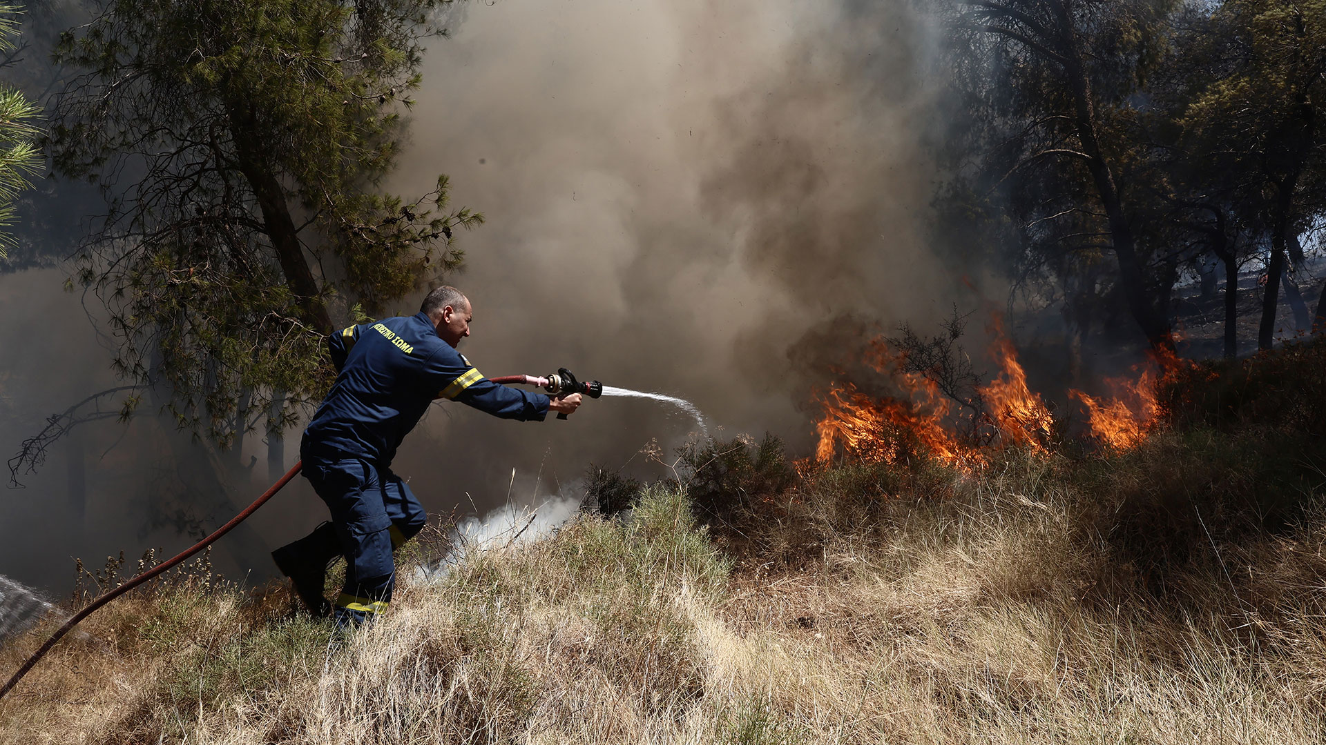 Φωτιά στην Κερατέα: Ισχυρές επίγειες και εναέριες δυνάμεις – Εκκενώσεις περιοχών, σπίτια στις φλόγες-8
