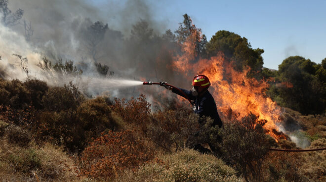 δήμαρχος-λαυρεωτικής-στην-κ-τα-μέτω-563103391