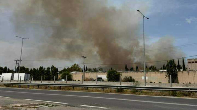 φωτιά-τώρα-στη-δροσοπηγή-ωρωπού-σηκ-563061241