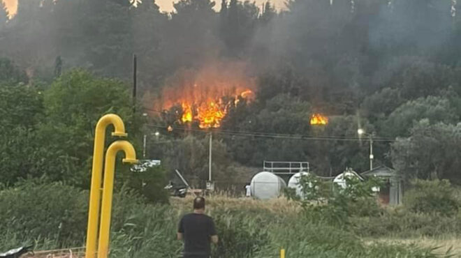λιβαδειά-φωτιά-εντός-του-αστικού-ιστο-563075686