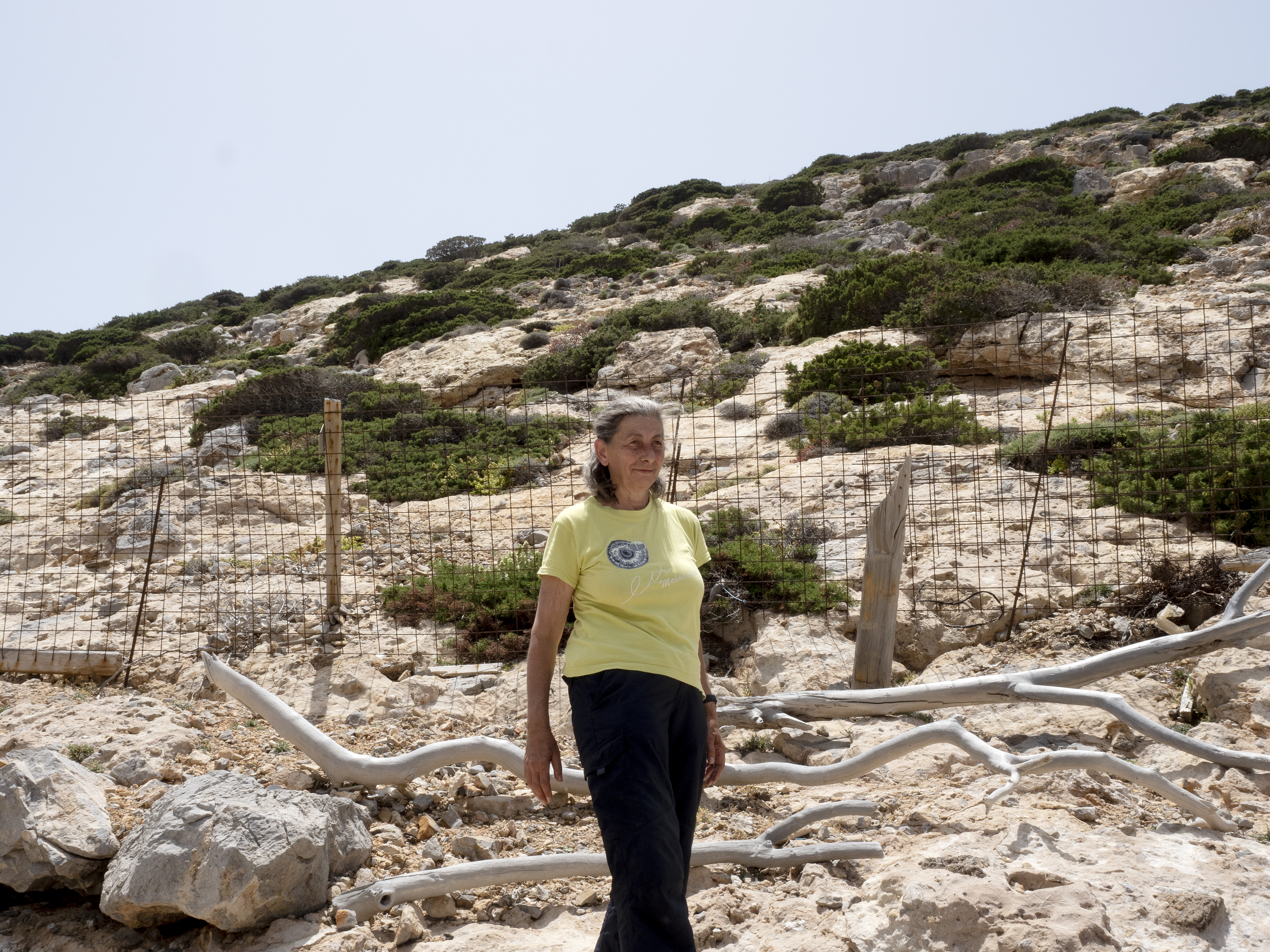 Αποστολή στο πάρκο της Σύρνας-7