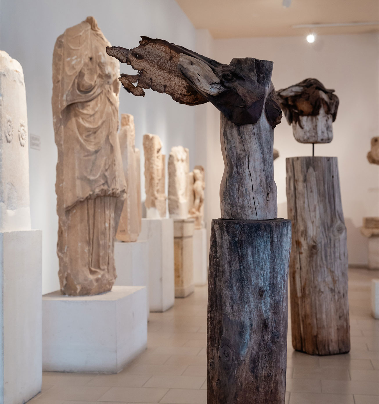 Δύο ενδιαφέρουσες εκθέσεις της Citronne στον Πόρο ανοίγουν τη θερινή σεζόν-3