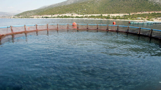 εως-και-τέσσερις-δεσμευτικές-προσφορ-563096179