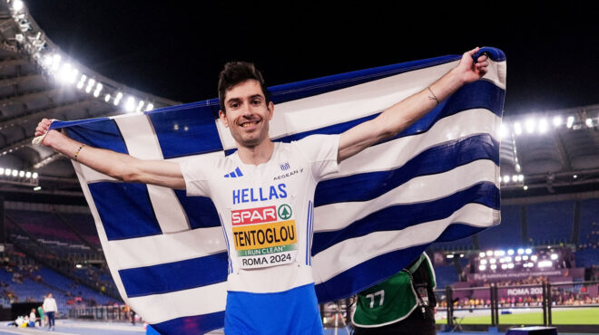 πομάσκι-στην-κ-αυτός-είναι-ο-τεντόγ-563070766