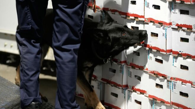 guardian-παιδιά-στρατολογούνται-από-καρτέλ-κ-563073829