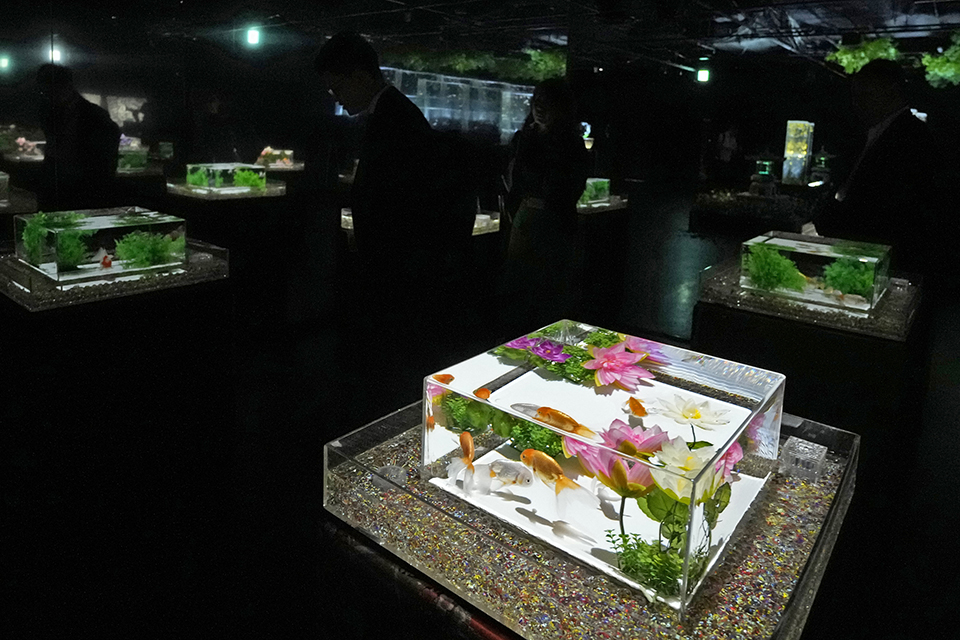 Προσευχή για το κλίμα-3