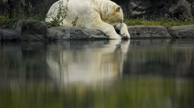 τι-καιρός-563100556