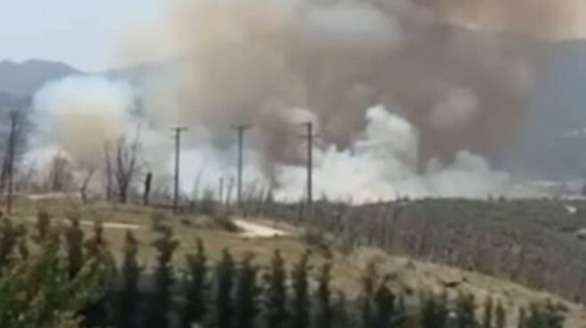 ωρωπός-χωρίς-ενεργό-μέτωπο-η-φωτιά-α-563061358