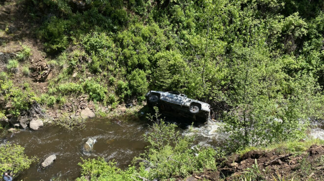 σκύλος-ήρωας-διήνυσε-65-χλμ-για-να-καλέ-563069497