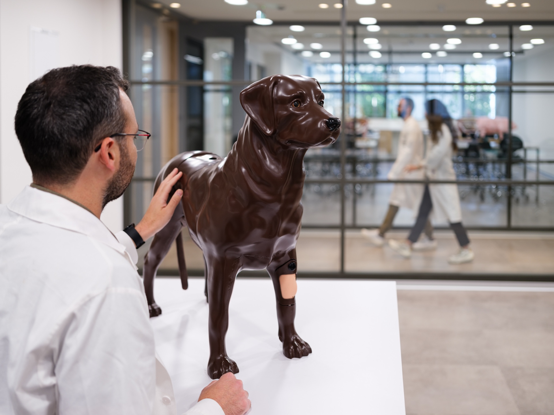 Ανοίγει τις πύλες της η υπερσύγχρονη Κτηνιατρική Σχολή του Ευρωπαϊκού Πανεπιστήμιου Κύπρου-1