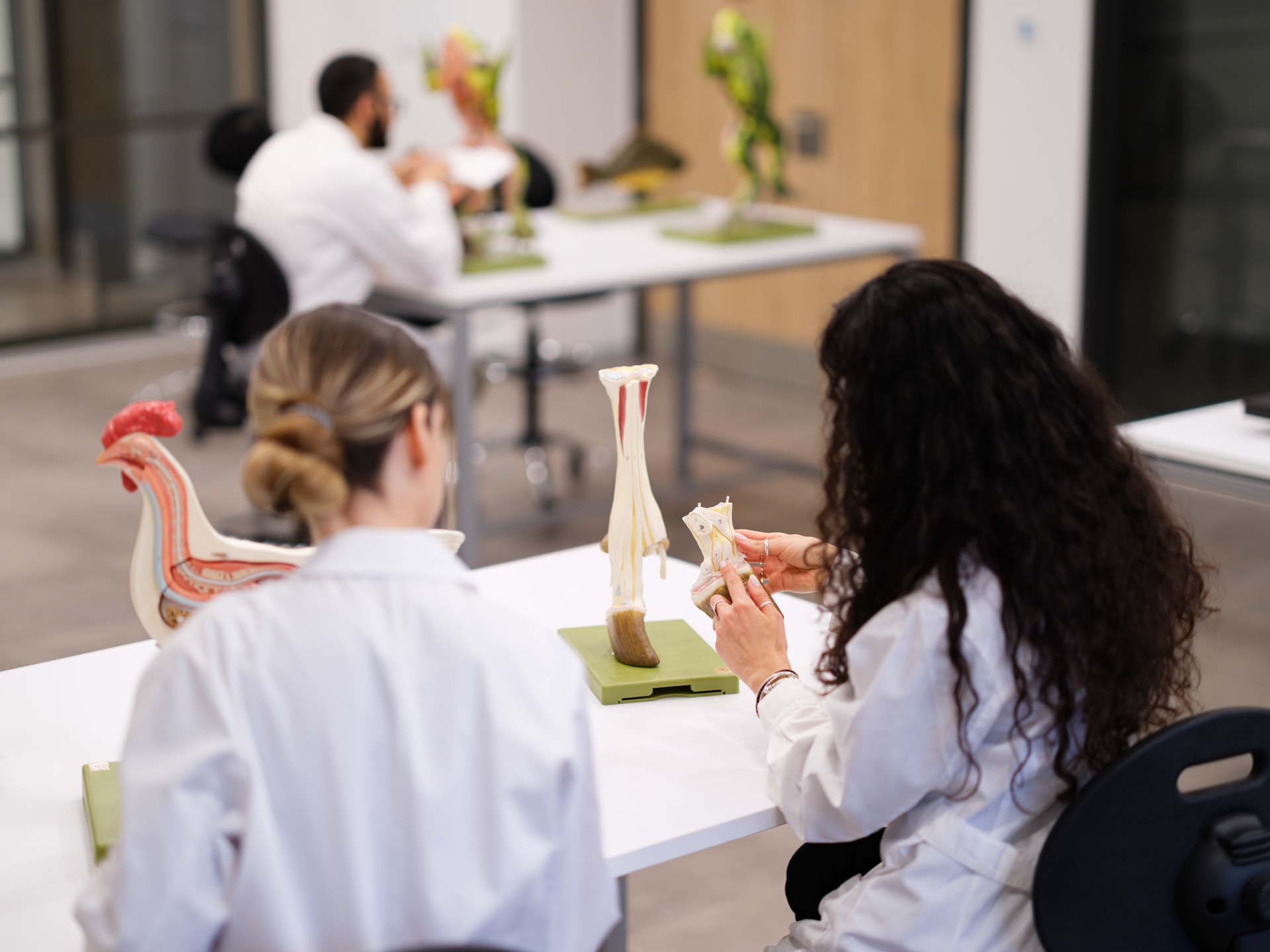 Ανοίγει τις πύλες της η υπερσύγχρονη Κτηνιατρική Σχολή του Ευρωπαϊκού Πανεπιστήμιου Κύπρου-2