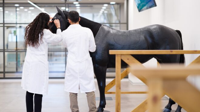 ανοίγει-τις-πύλες-της-η-υπερσύγχρονη-κ-563071258