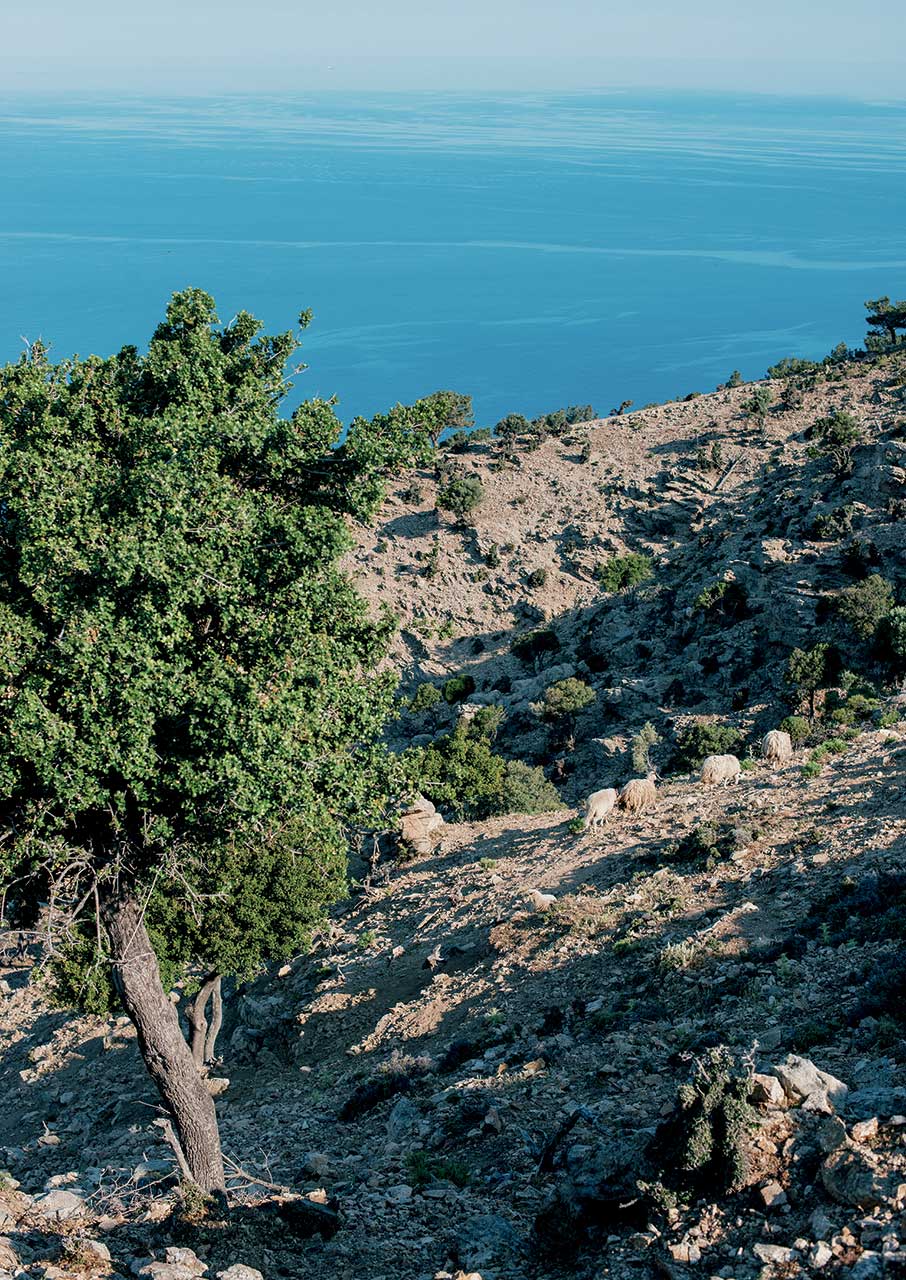 Οδηγός διακοπών για τα νησιά του Βορείου Αιγαίου-3