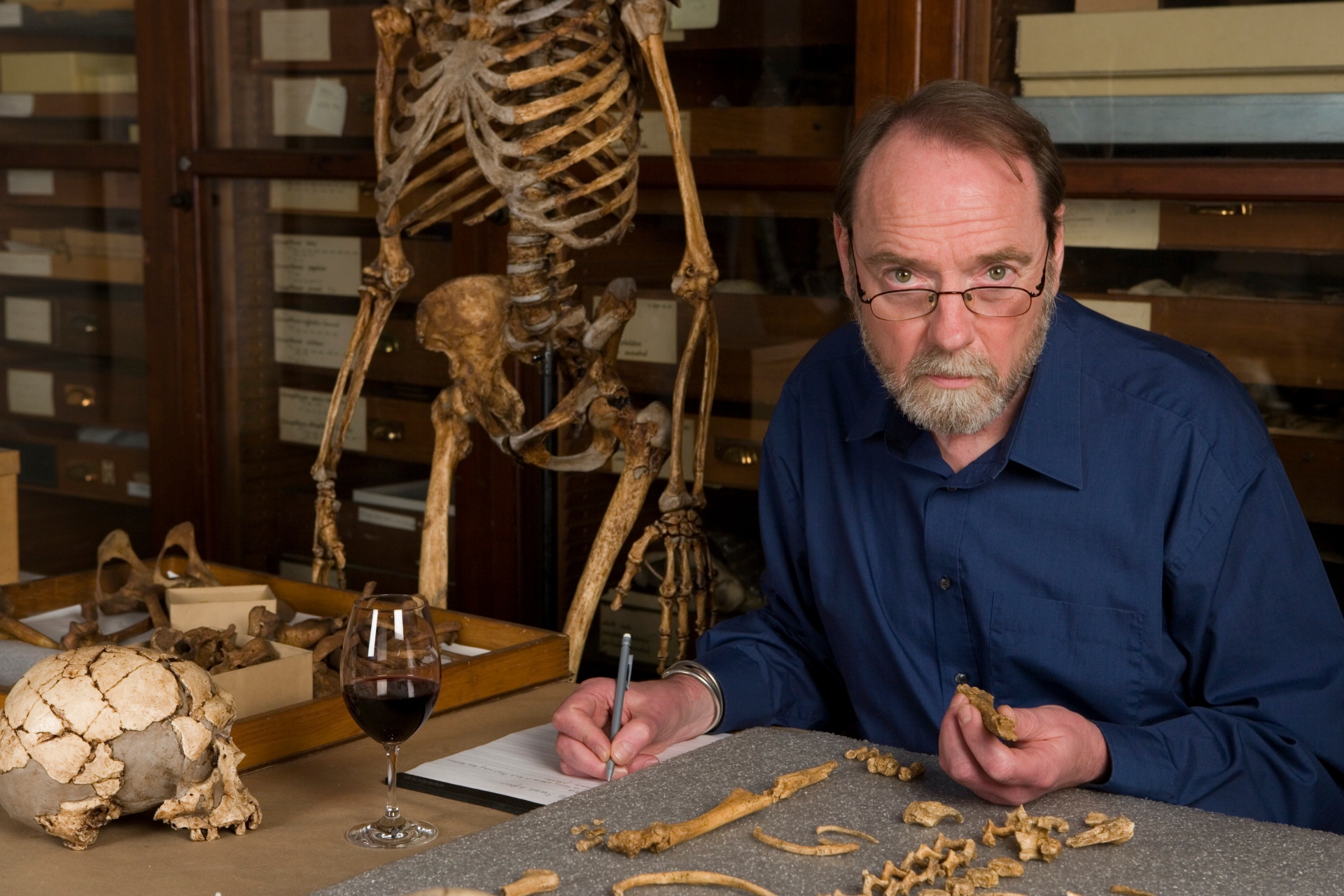 γιατί-έχει-συρρικνωθεί-ο-ανθρώπινος-ε-563063221