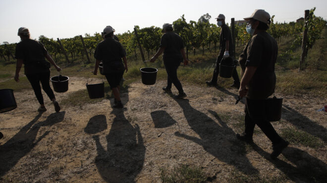 εγκατέλειψαν-στον-δρόμο-ακρωτηριασμ-563088748