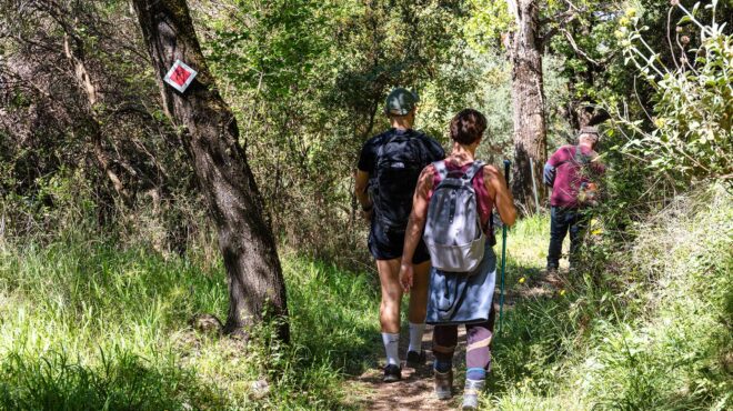 στη-στεμνίτσα-σε-ένα-δίκτυο-μονοπατιώ-563061166