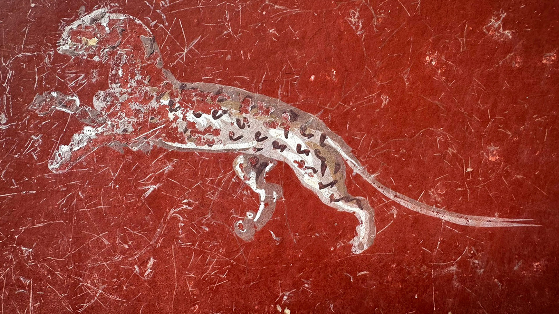 Πομπηία: Στο «φως» αρχαίο δωμάτιο με εντυπωσιακές τοιχογραφίες-7