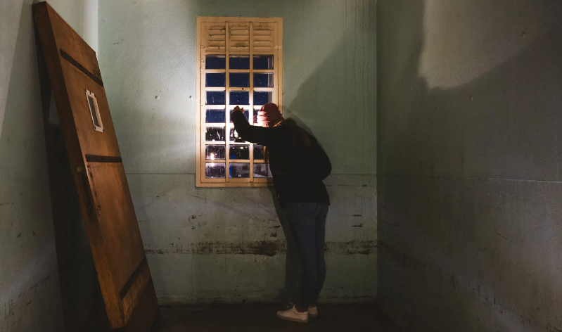 Συνοδοί γουόμπατ, «ψιθυριστές» αμπελιών, κυνηγοί φαντασμάτων: Η Τασμανία αναζητά εργαζομένους-2