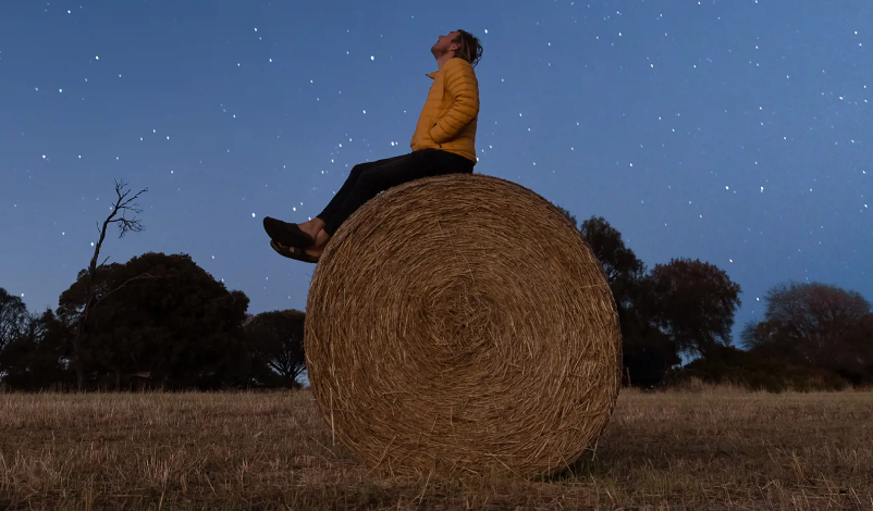 Συνοδοί γουόμπατ, «ψιθυριστές» αμπελιών, κυνηγοί φαντασμάτων: Η Τασμανία αναζητά εργαζομένους-1