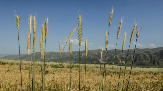 to-euro-φέρνει-αύξηση-στην-κατανάλωση-αλλά-ό-563065156