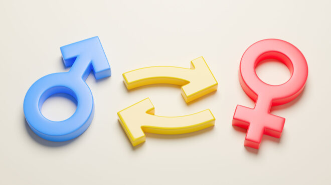 γαμήλιο-πάρτι-με-μακρύ-πολιτικό-hangover-563069323