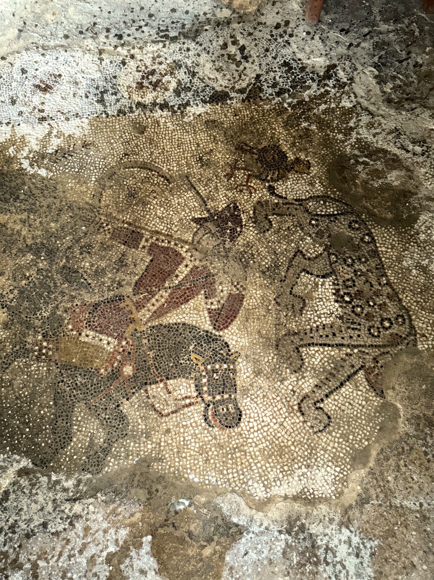 Αβλέμονας Κυθήρων. Κολυμπώντας στην αγκαλιά της Ιστορίας-4