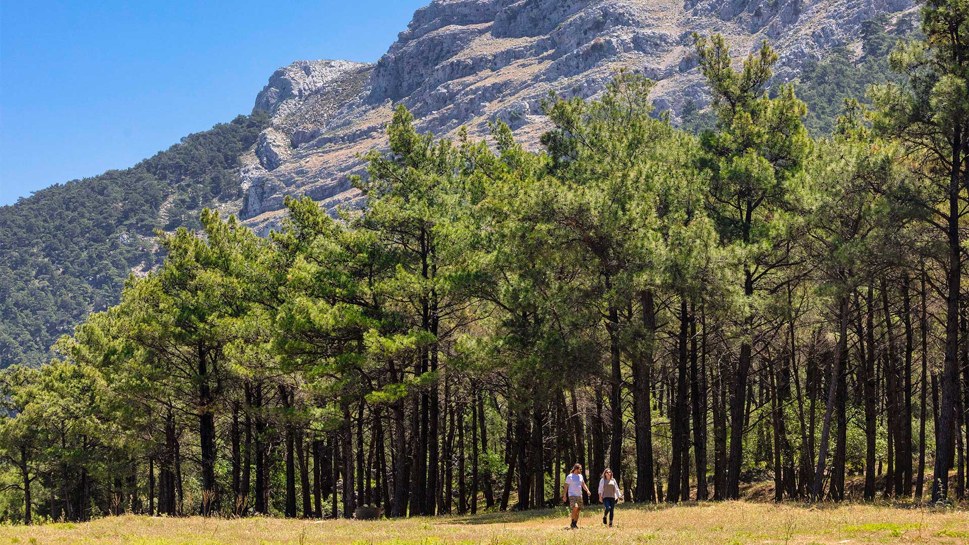 Ρόδος: Δραστηριότητες και ταξιδιωτικές εμπειρίες με χαμηλό αποτύπωμα-1