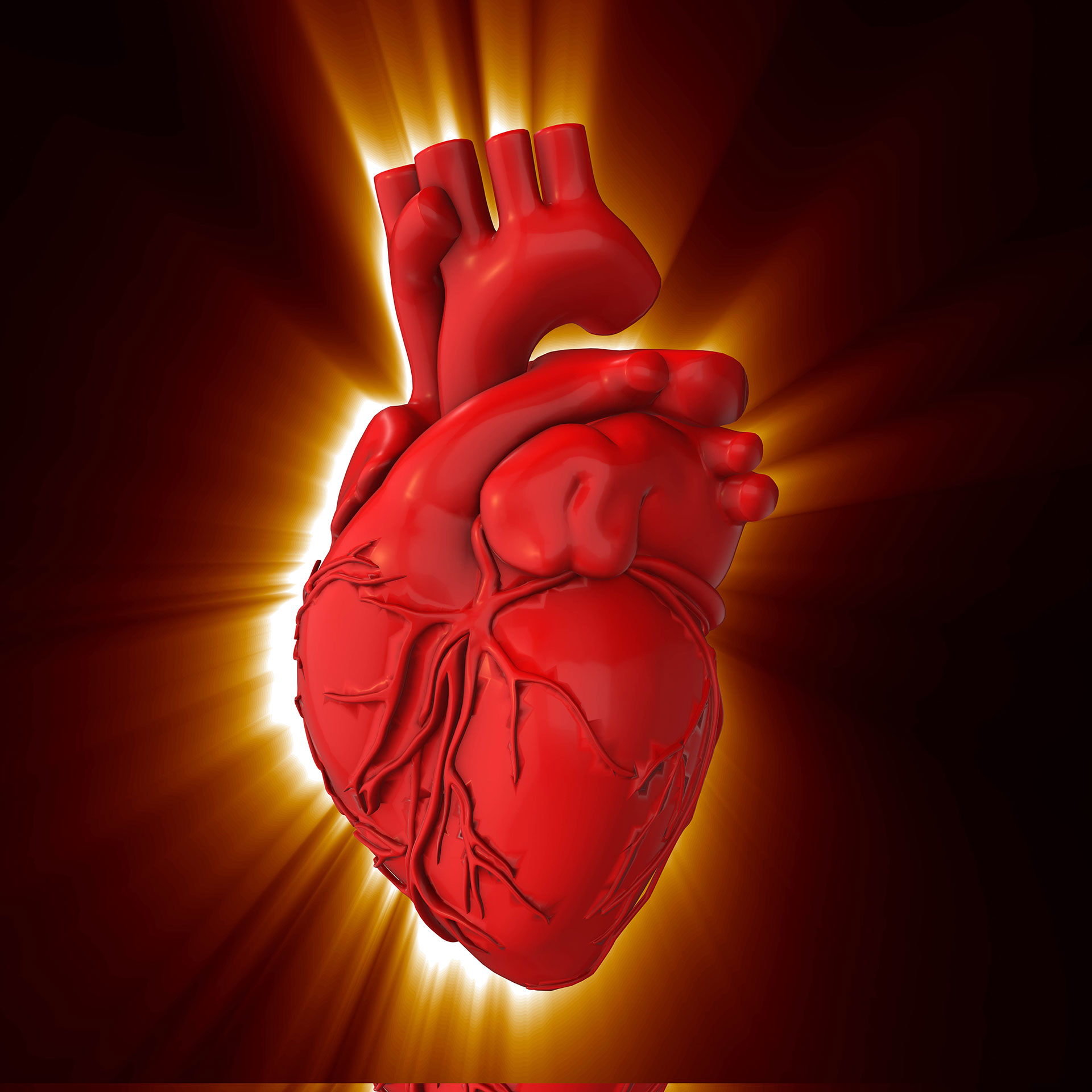 Oταν η καρδιά ξαφνικά αρχίζει να χτυπά γρήγορα-2