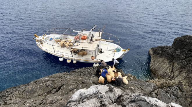 δήμαρχος-αστυπάλαιας-αξιοποιούμε-δε-563061004