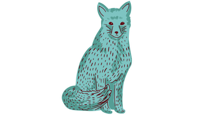 εσείς-θα-φορούσατε-μία-αλεπού-563089078