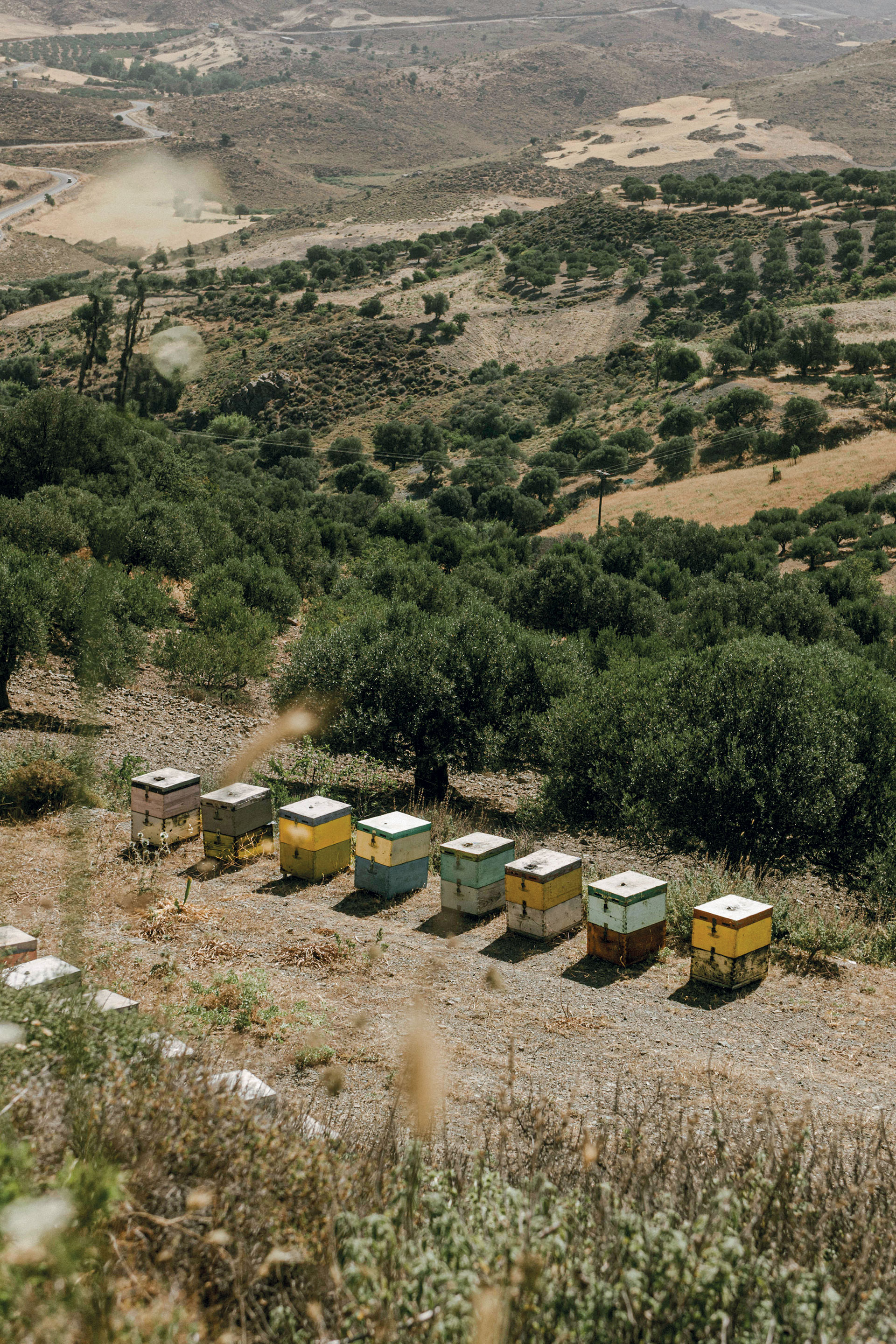 Μία μέρα δίπλα στους μελισσοκόμους της Κρήτης-2